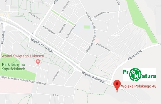 BOK2018 google maps