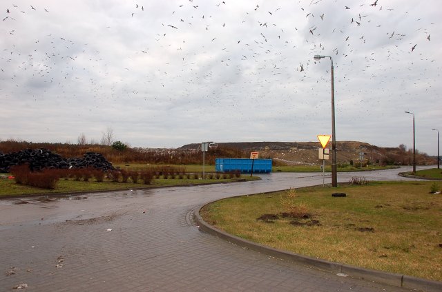 ProNatura ul. Prądocińska 28  rok 2009