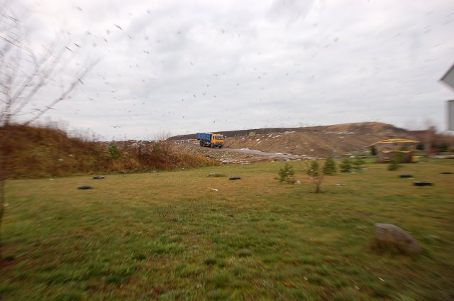 ProNatura ul. Prądocińska 28  rok 2009